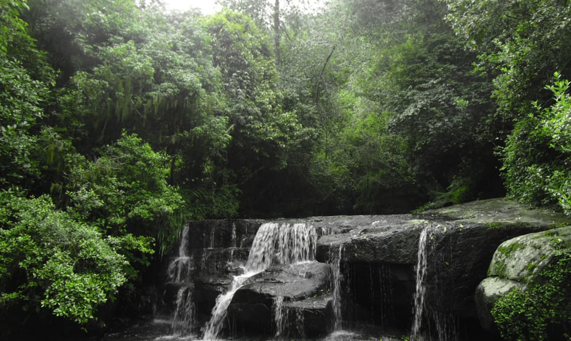 Relax Beside the Refreshing Vattakanal Falls