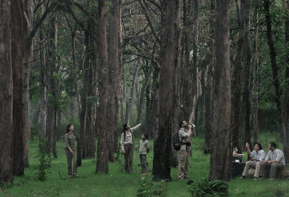 Bandipur / Masinagudi