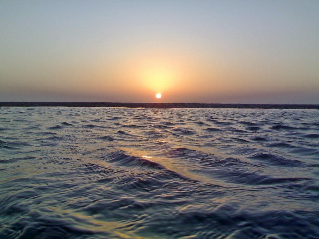 Go Birdwatching Along the Quiet Shores of Akshi Beach