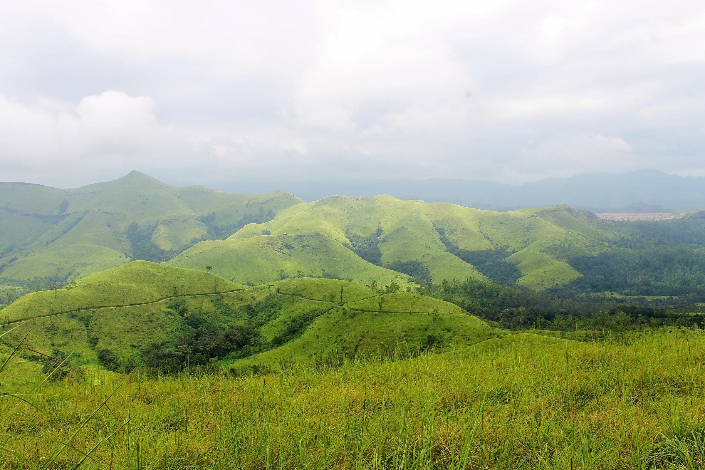 Kudremukh National Park
