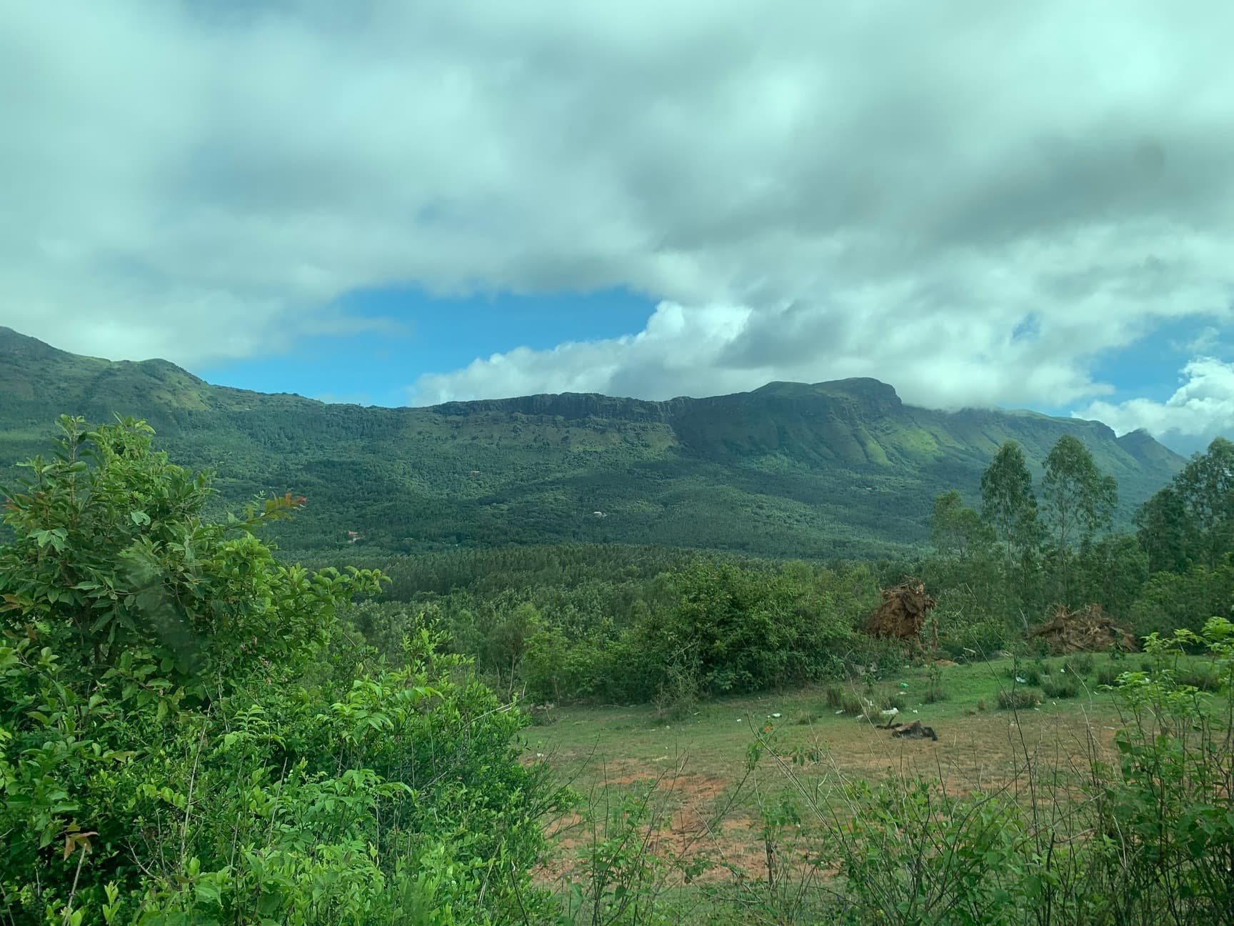 Spot Wildlife at the Muthodi Forest