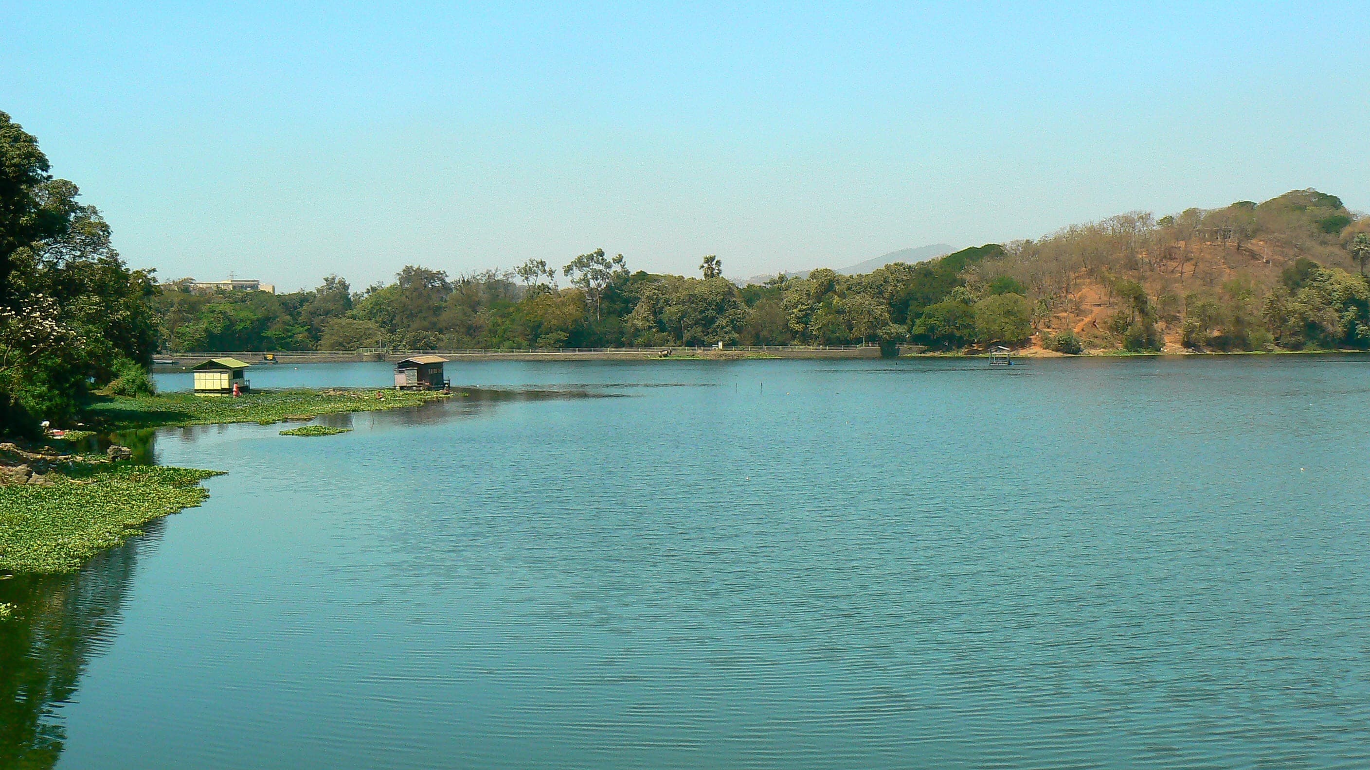 Enjoy A Peaceful Stroll Along The Powai Lake