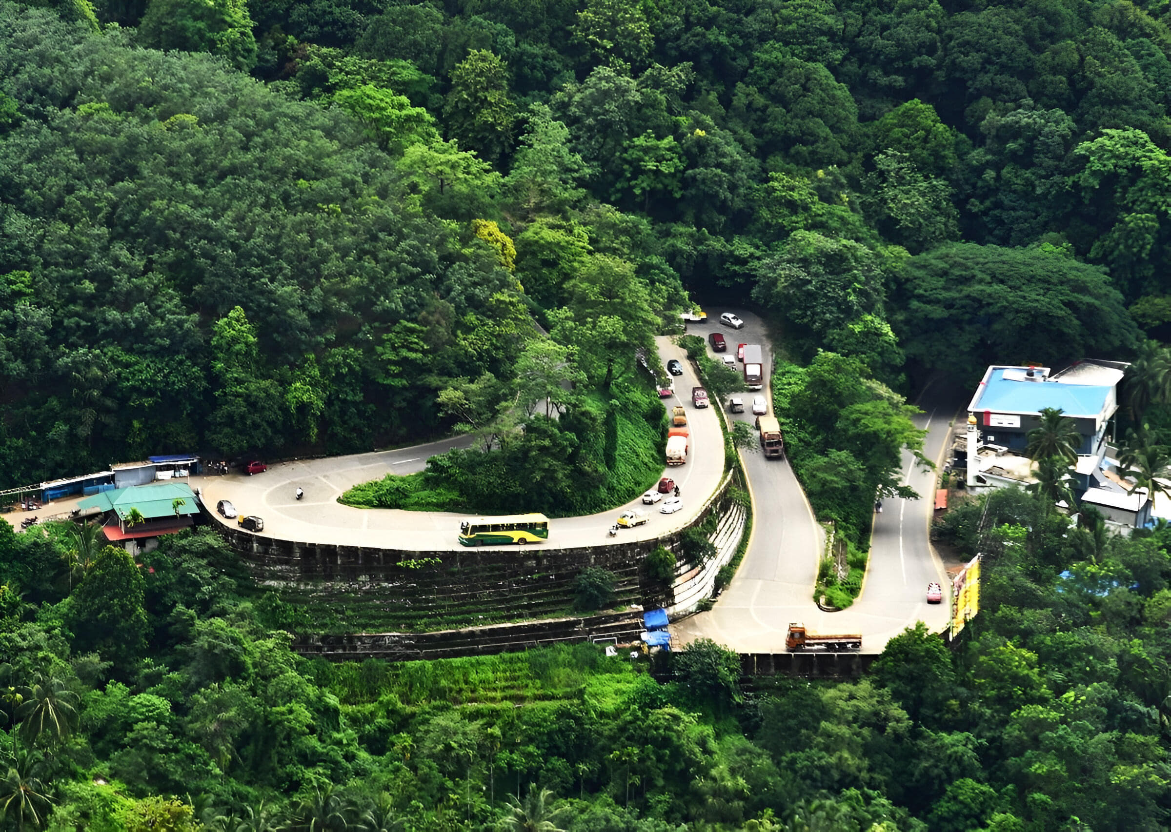 Chain Tree & Lakkidi Viewpoint