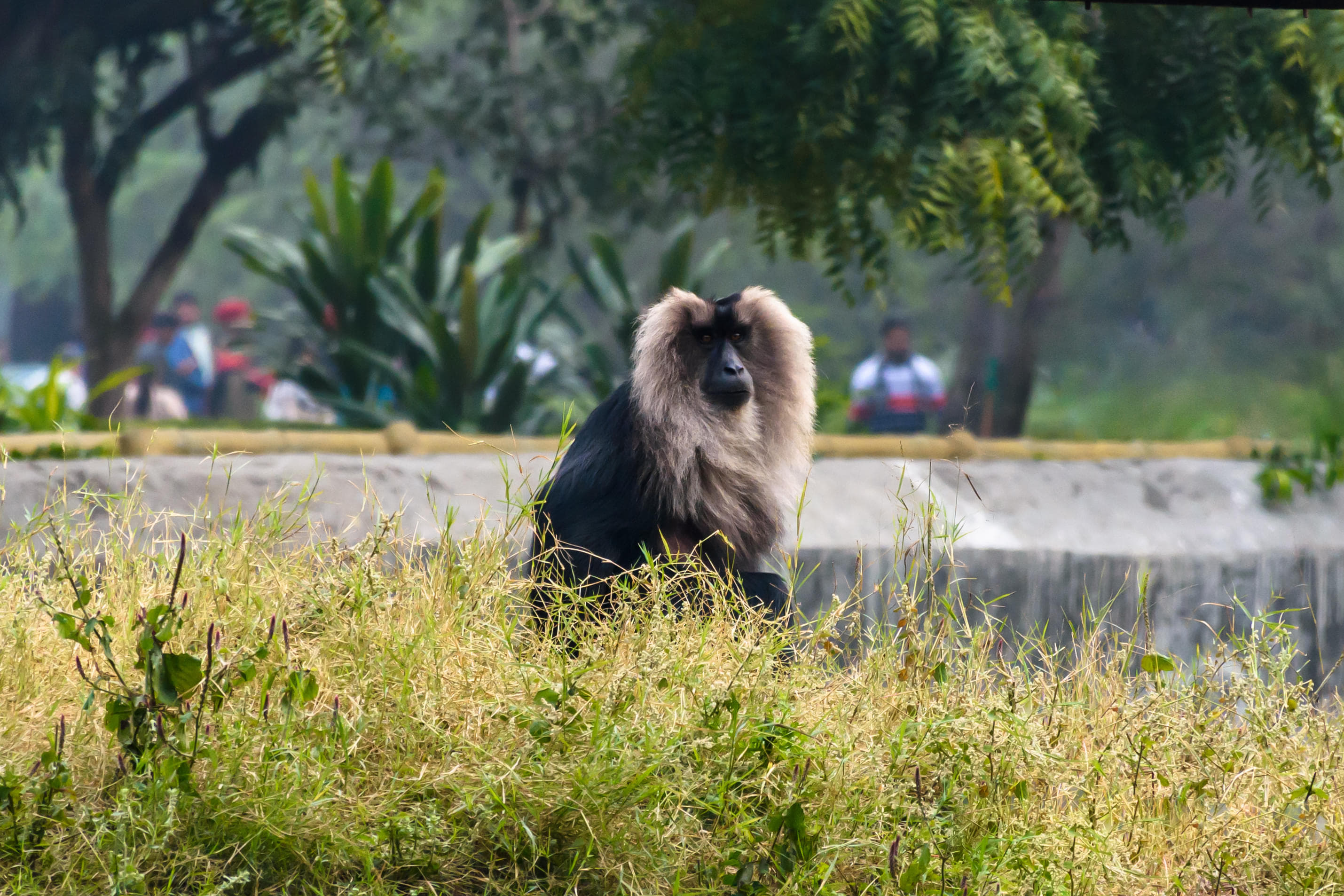 Delhi Zoo (National Zoological Park)
