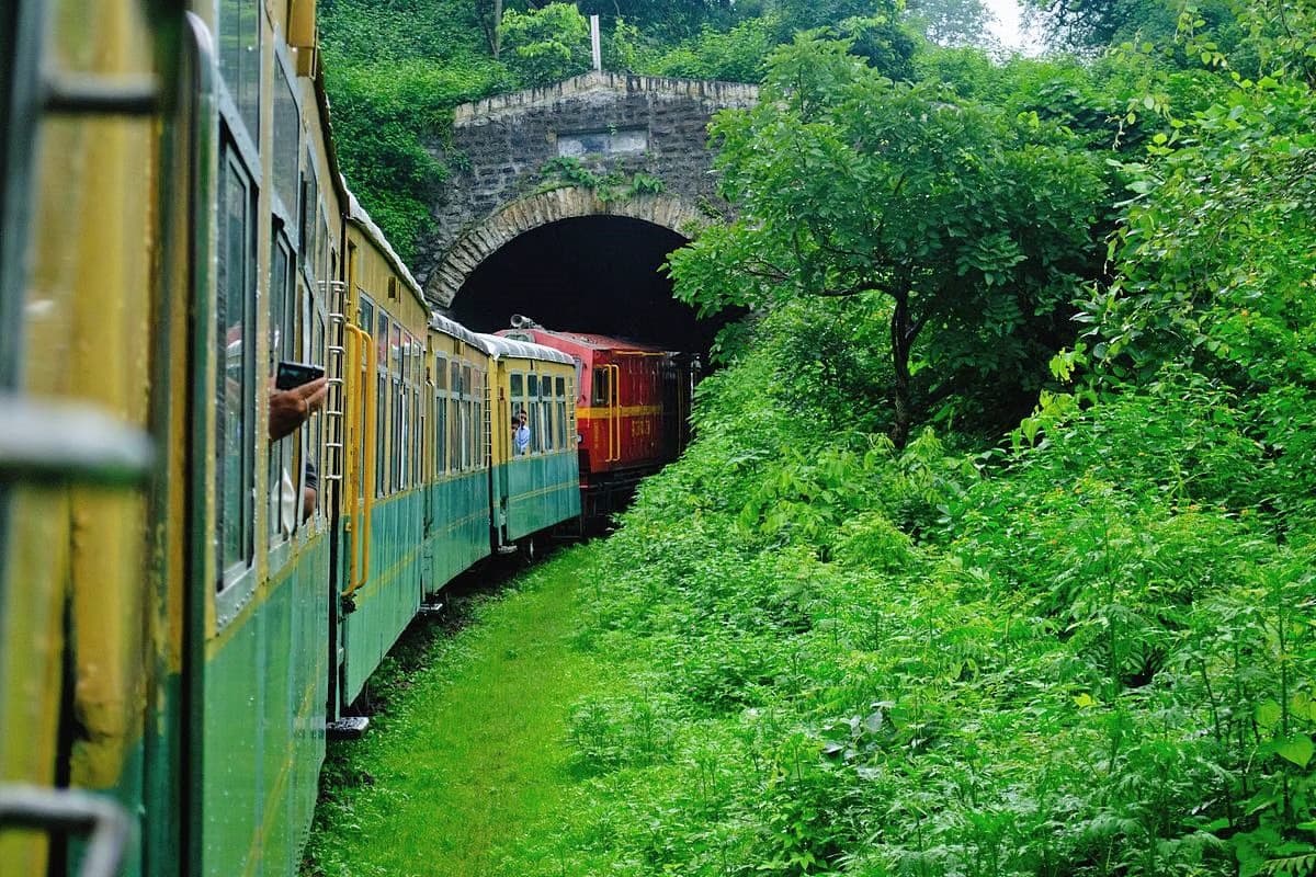 Experience the Ride on the Toy Train