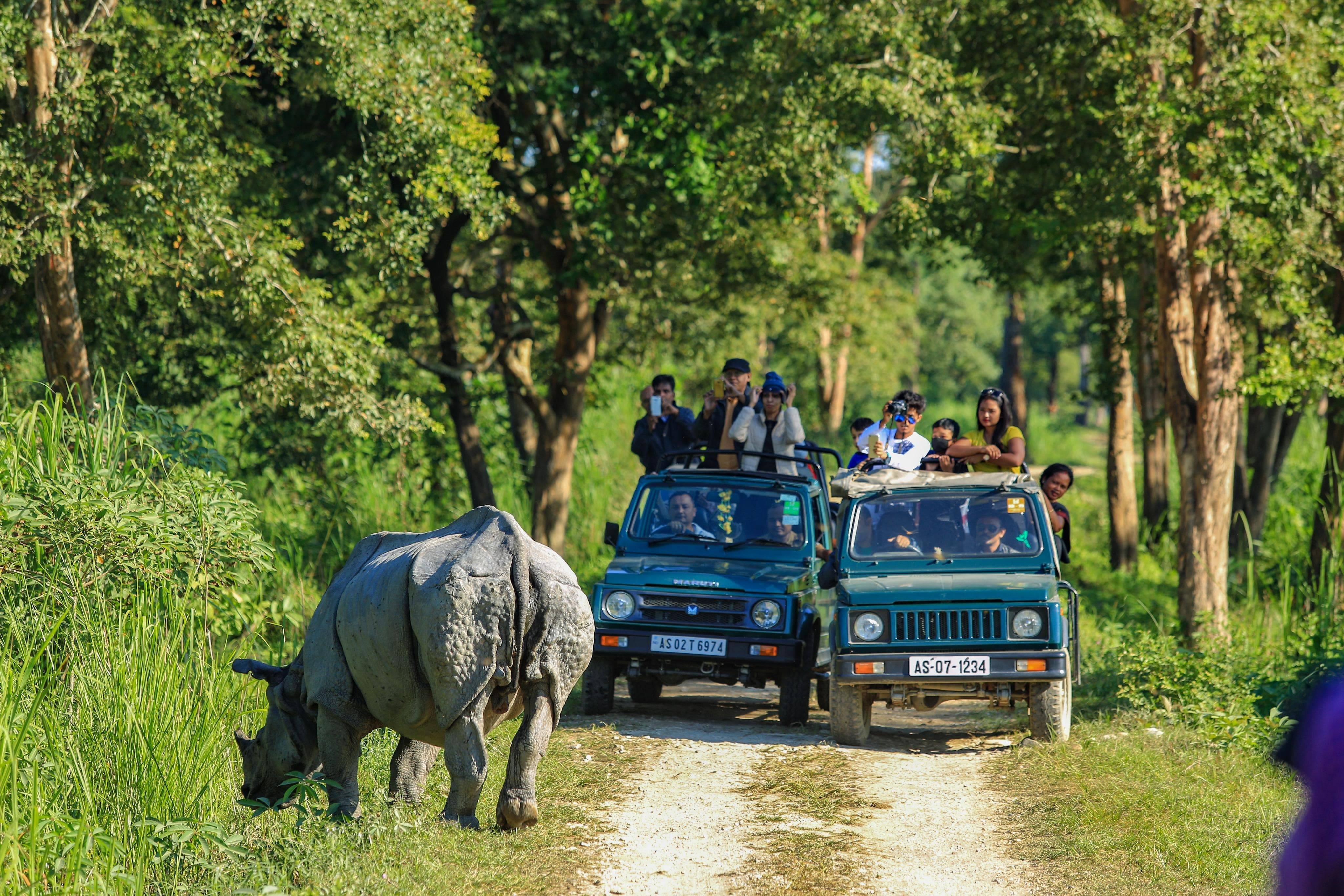 Kaziranga National Park (Assam)