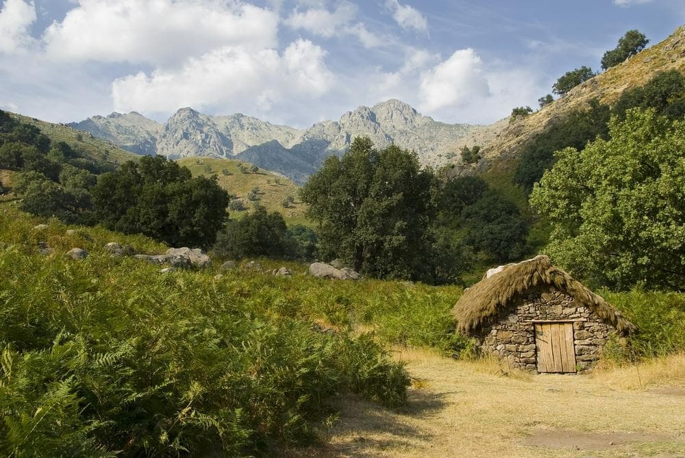 Namdapha National Park (Arunachal Pradesh)