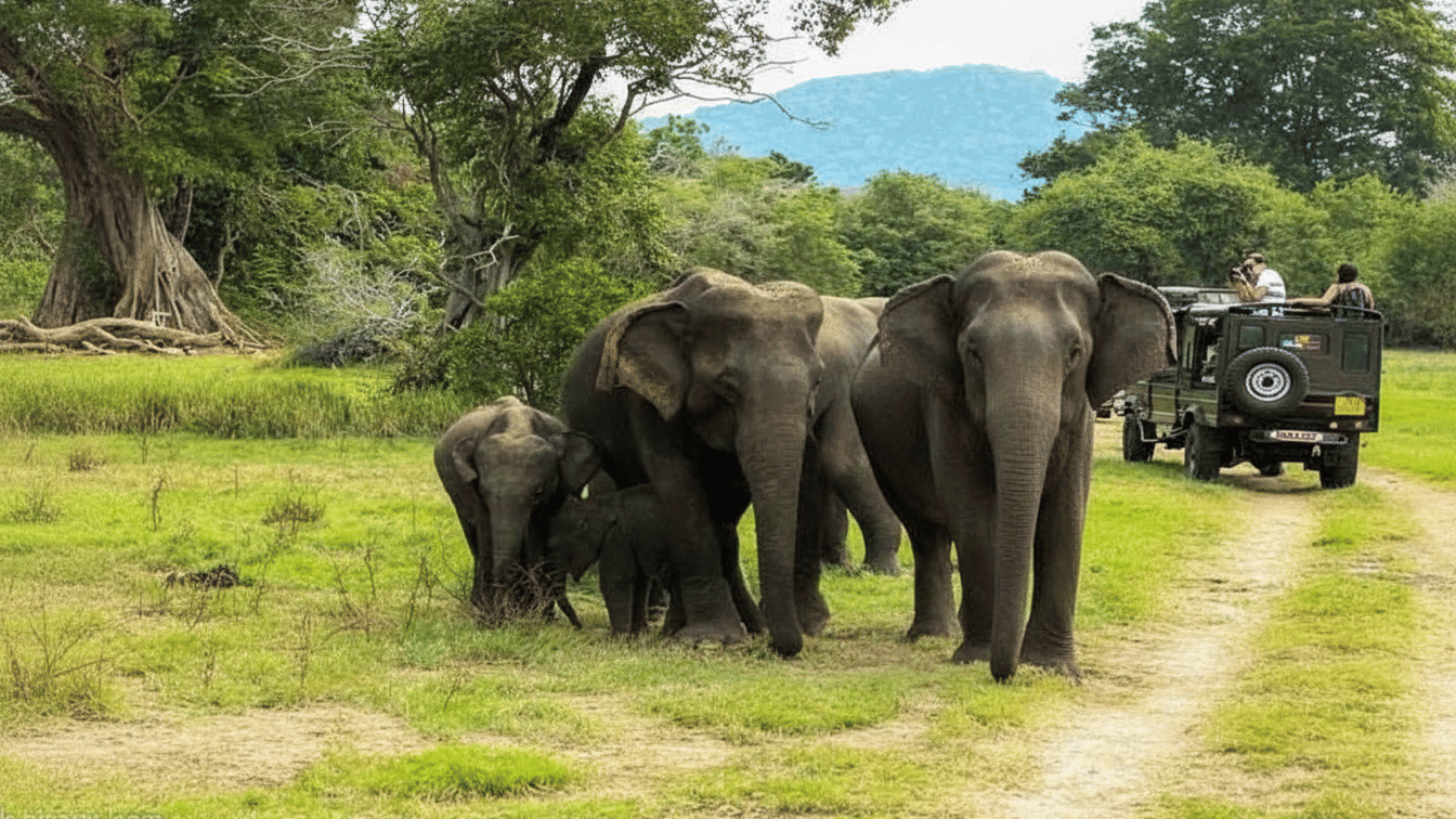 Mouling National Park (Arunachal Pradesh)