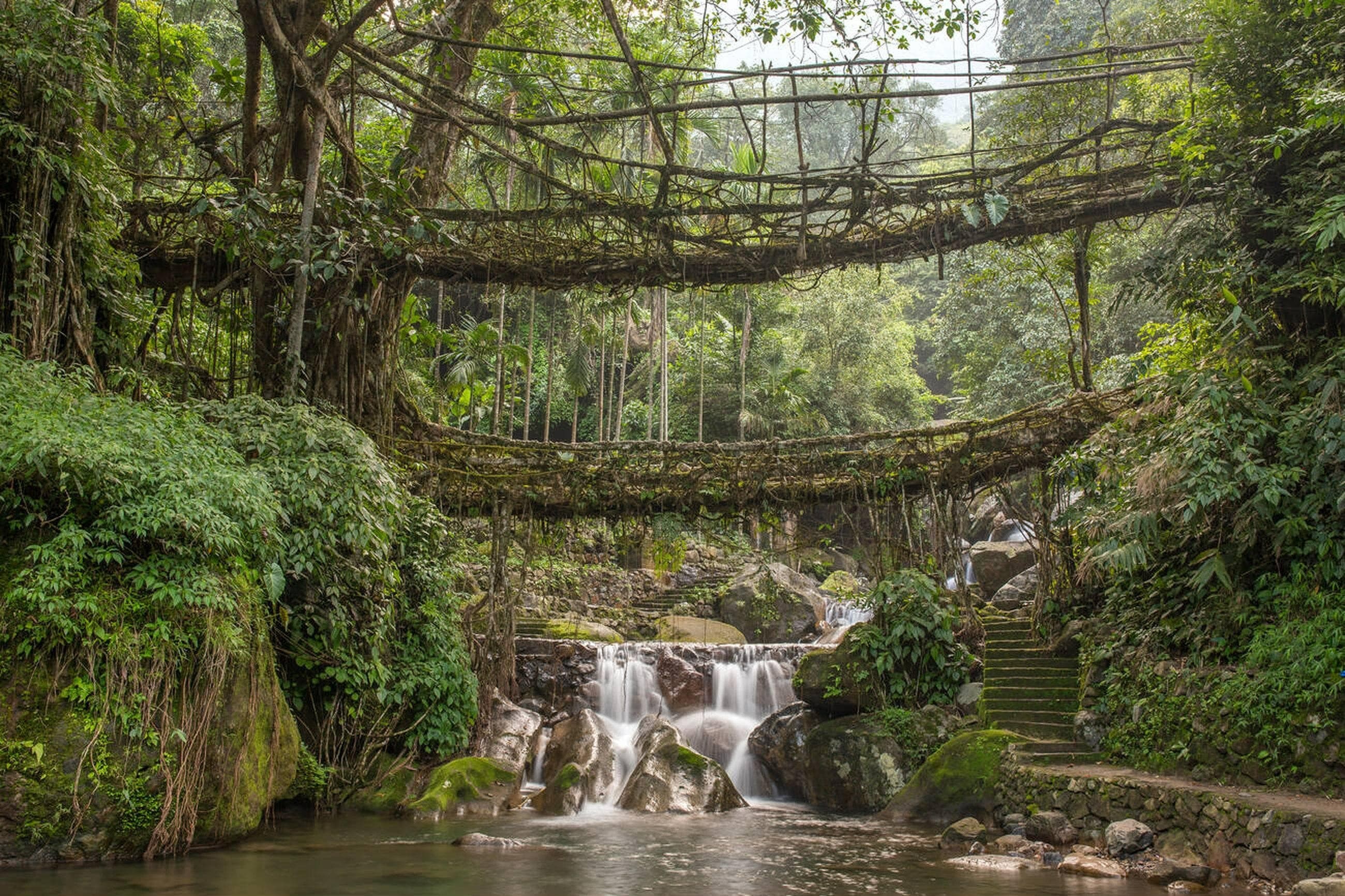 Nongriat Double Decker Living Root Bridge