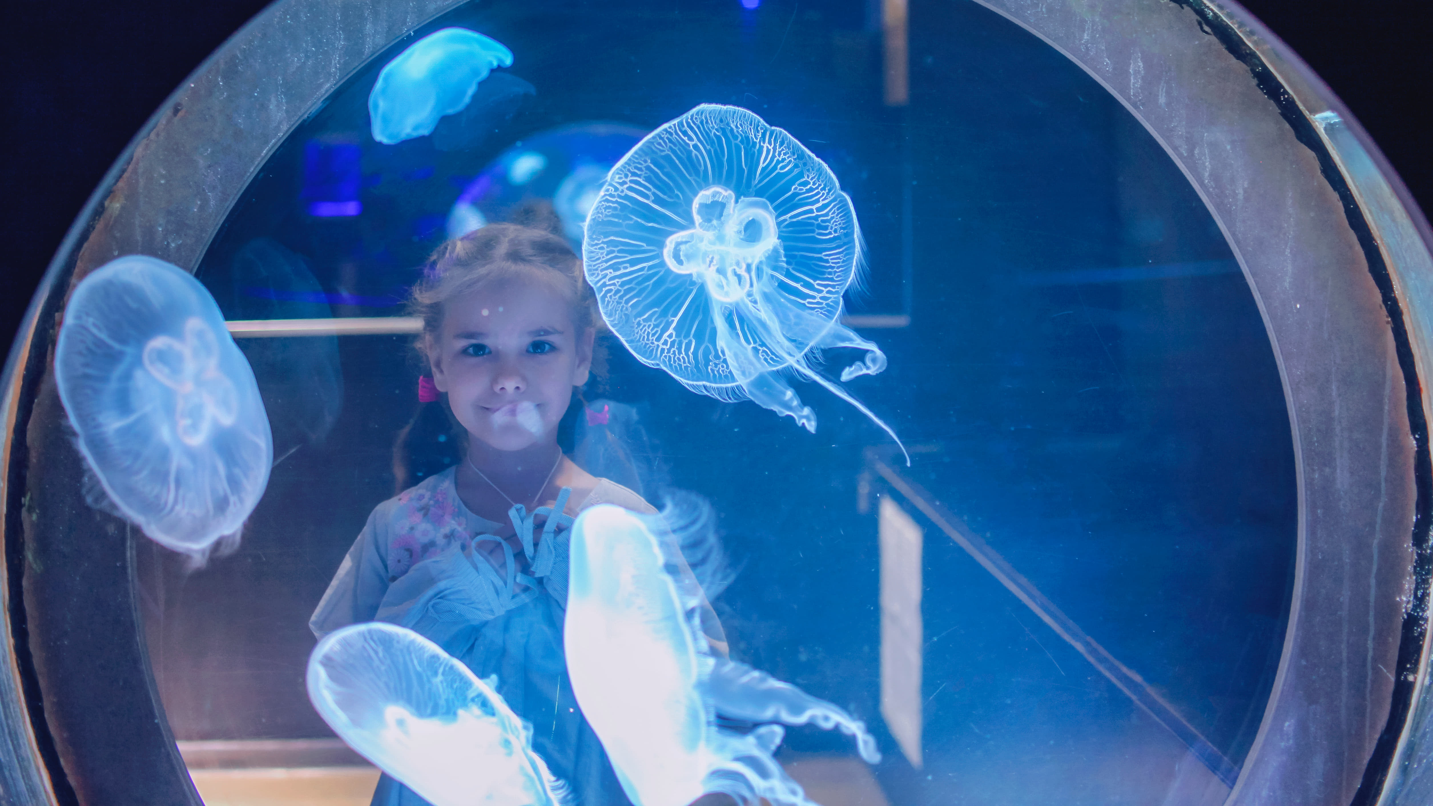 Experience the Cinekid Festival