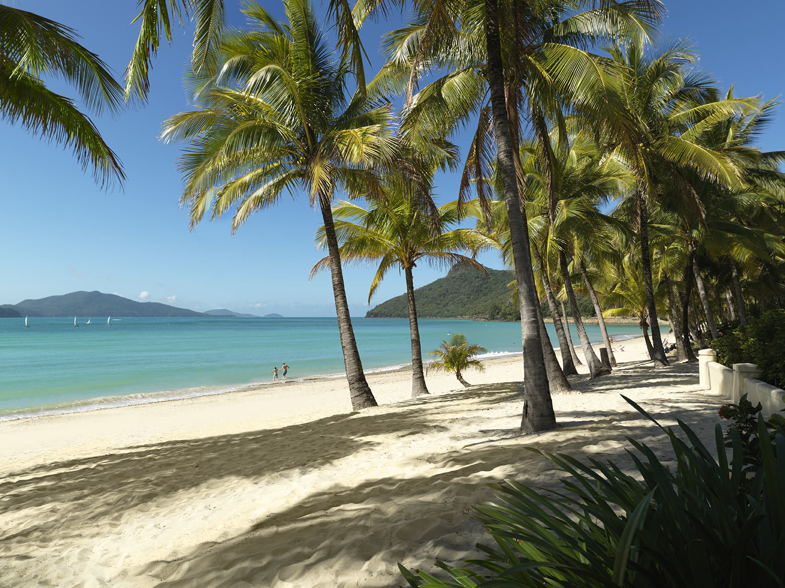 1768995473 hamilton island