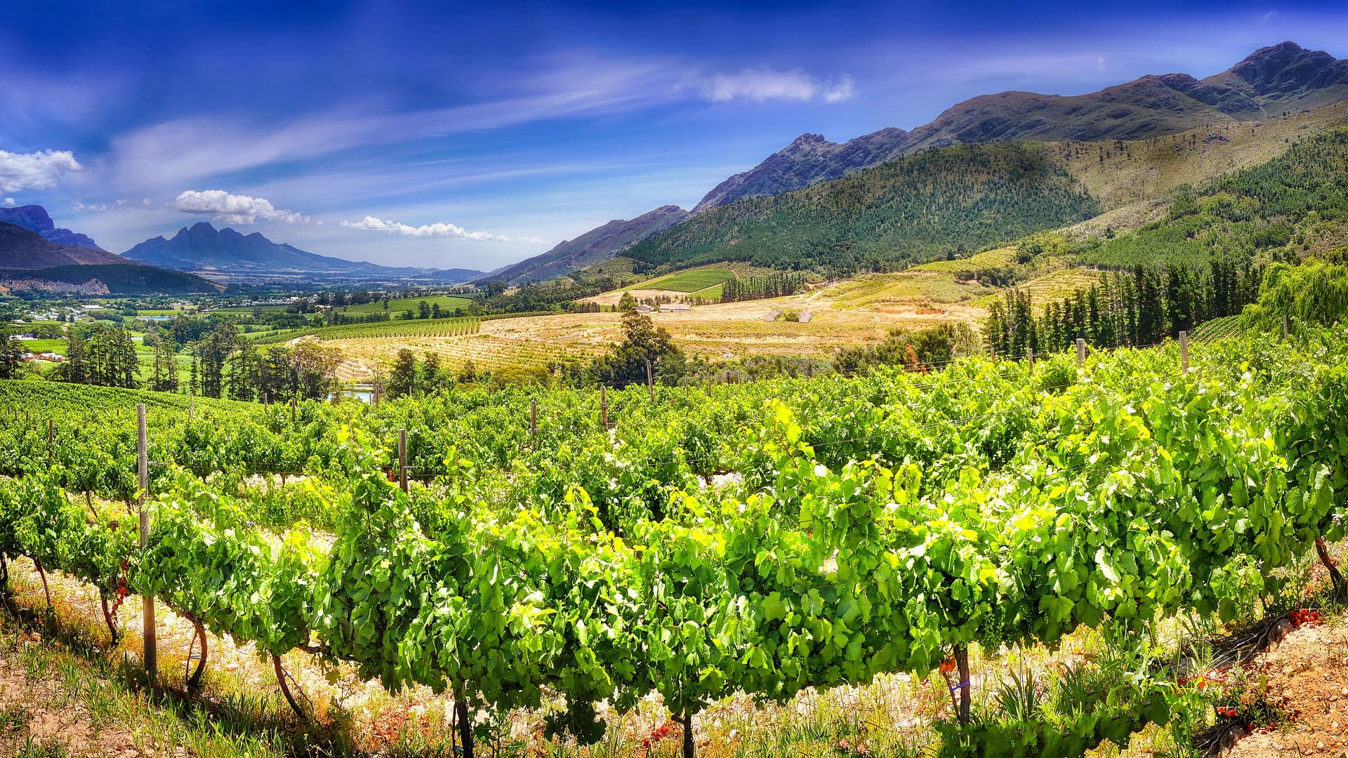 Franschhoek