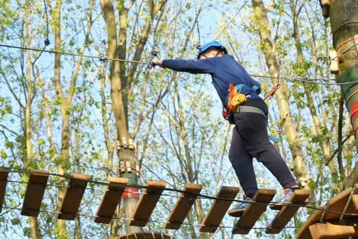 Grange TreeTop Adventure