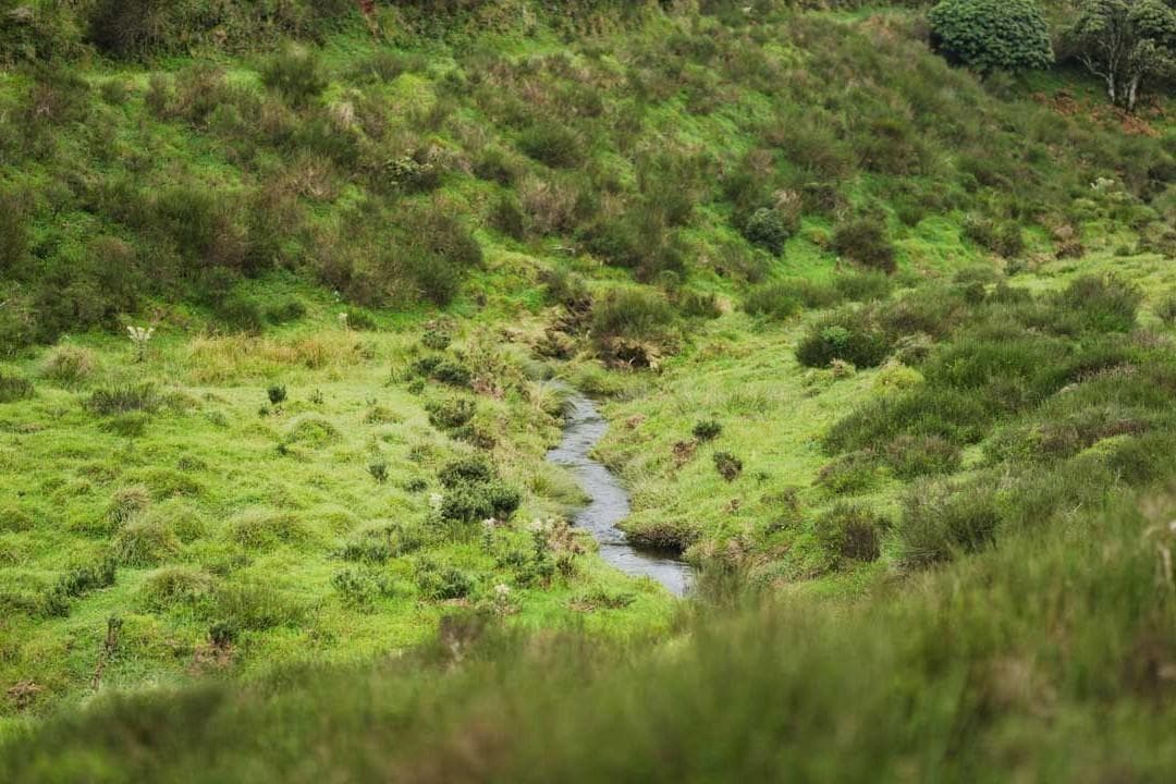 Devarabetta Trek, Kanakapura – 90 km from Bangalore