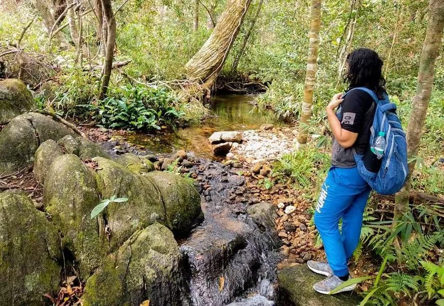 Brahmagiri Hills Trek, Coorg – 260 km from Bangalore