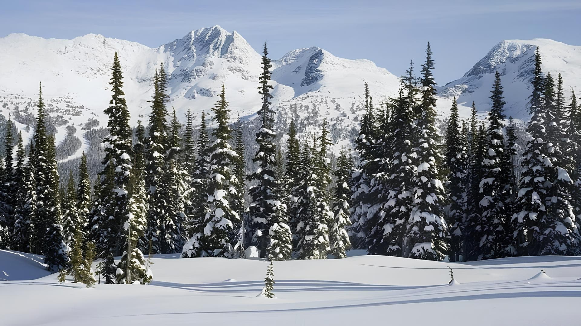 Explore the Gulmarg Biosphere Reserve