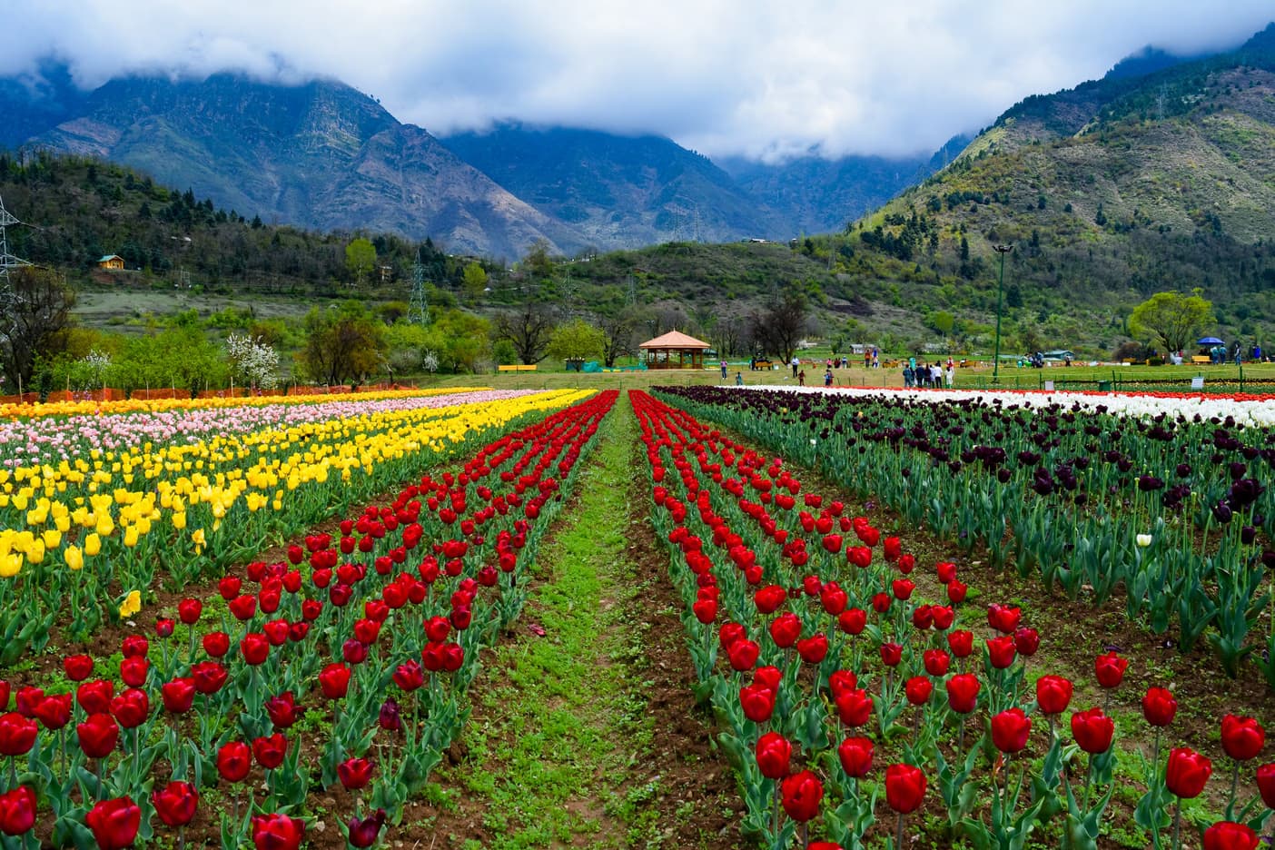 How to Plan a Kashmir Trip in {{year}}: Complete Travel Guide