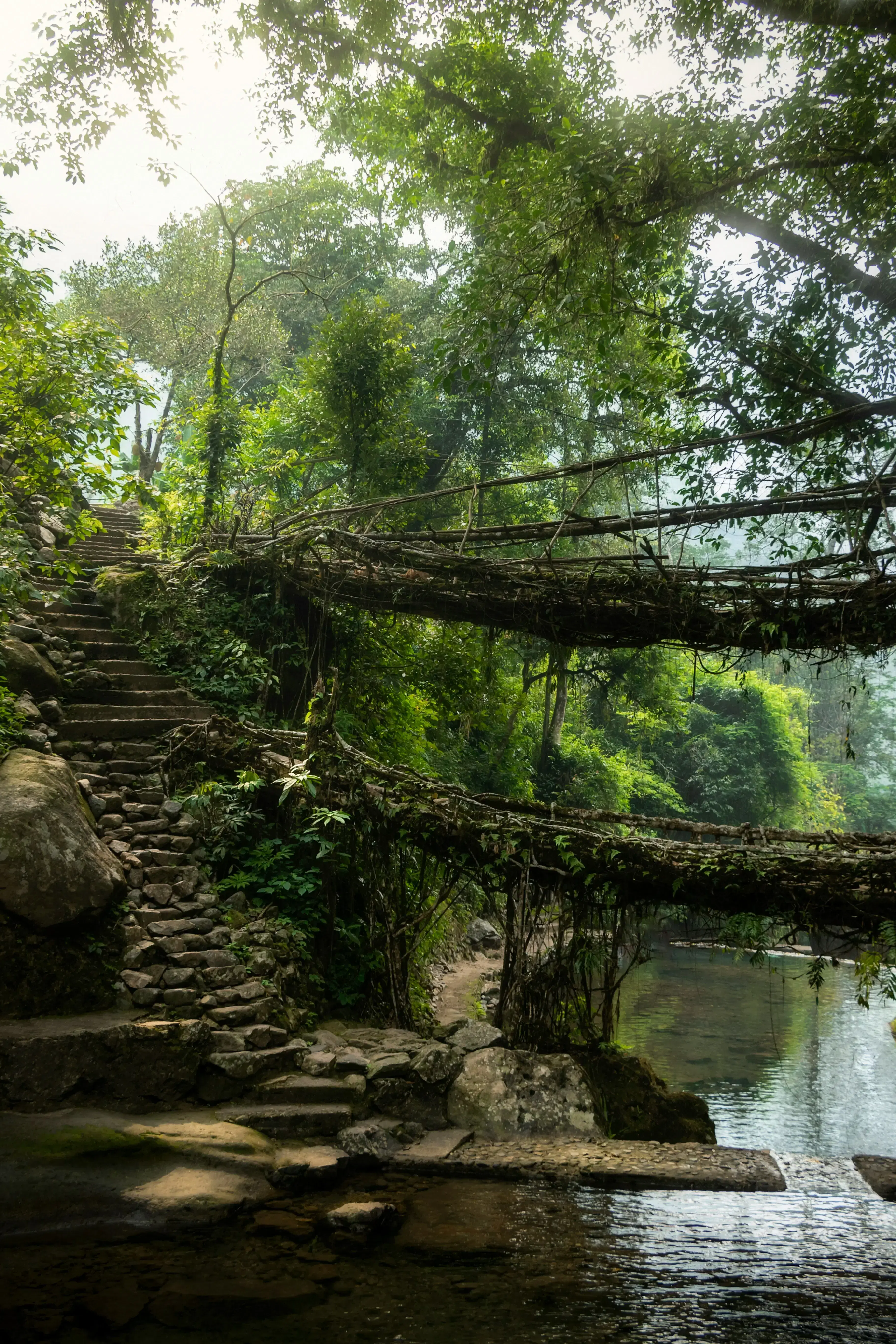 Best Month to Visit Meghalaya