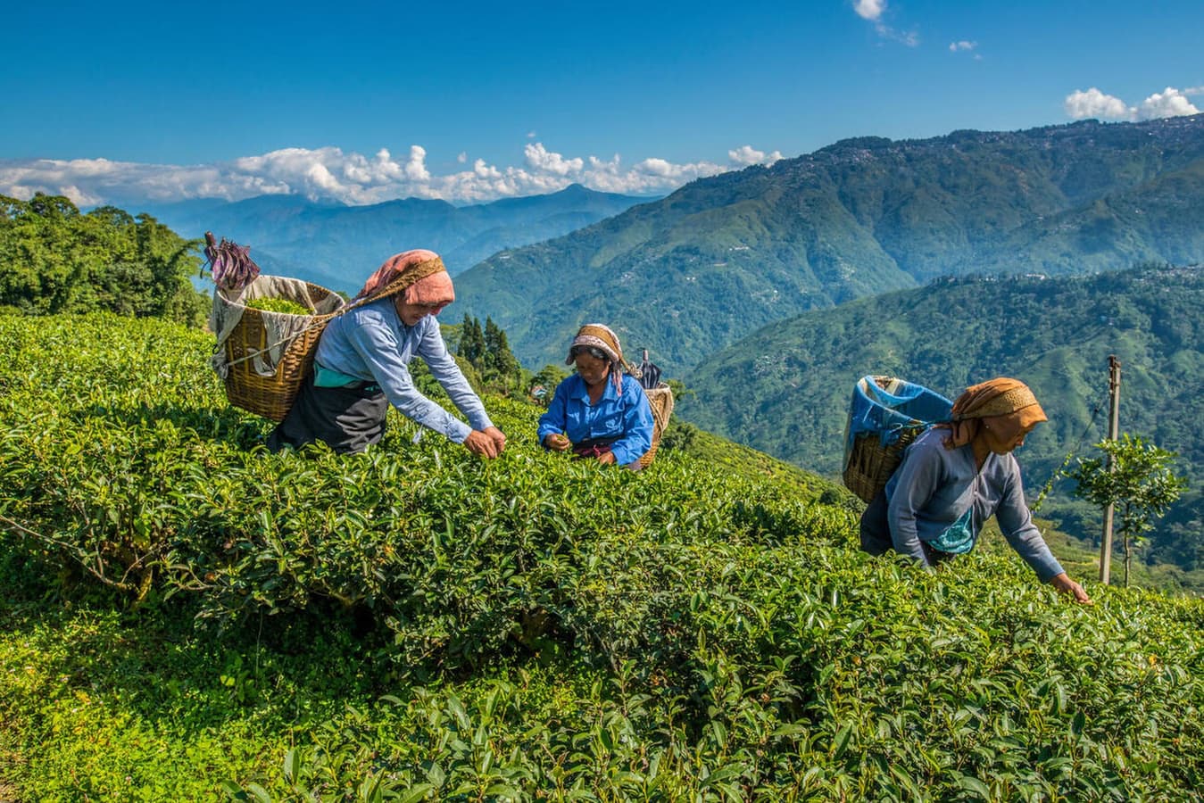 What Is Included in a Thrillophilia North Sikkim Package