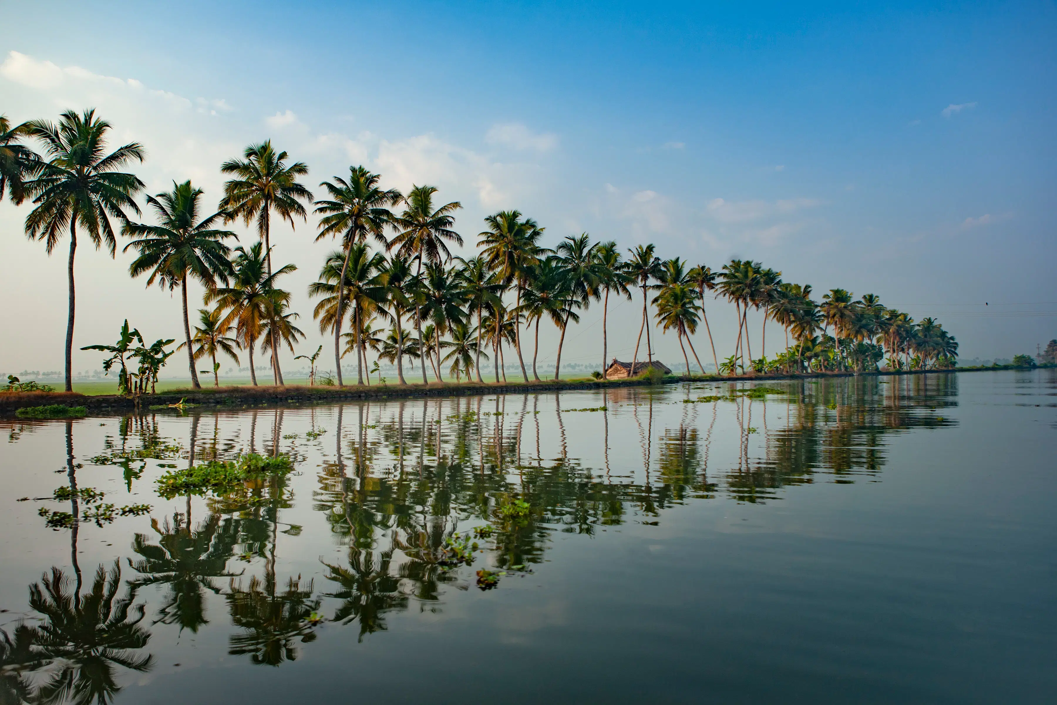 How to Plan a Kerala Trip in {{year}}: Itinerary, Cost & Travel Tips