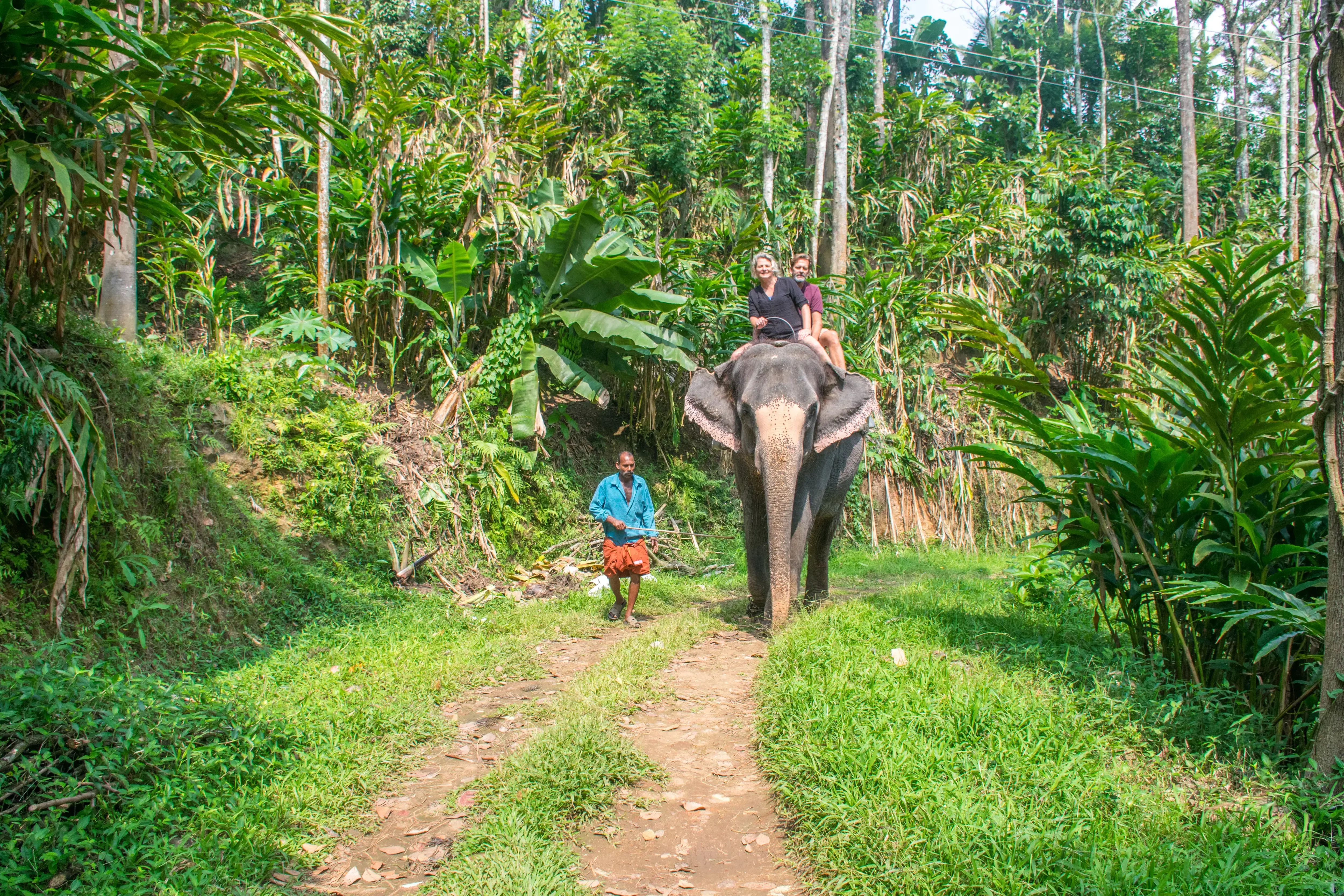 Practical Tips for Planning a Kerala Road Trip 