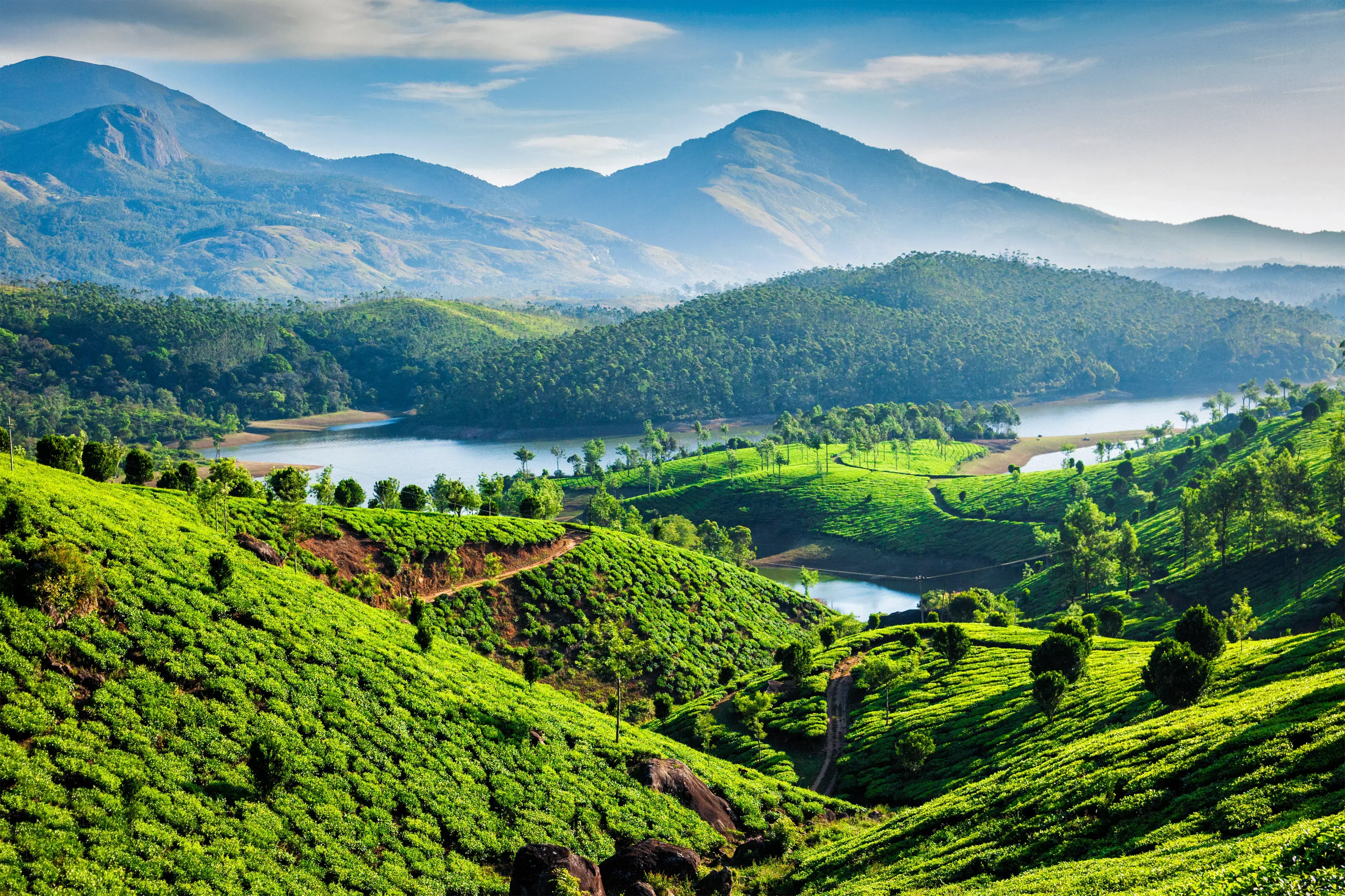 Best Road Trip Routes in Kerala: Top Destinations & Itineraries!