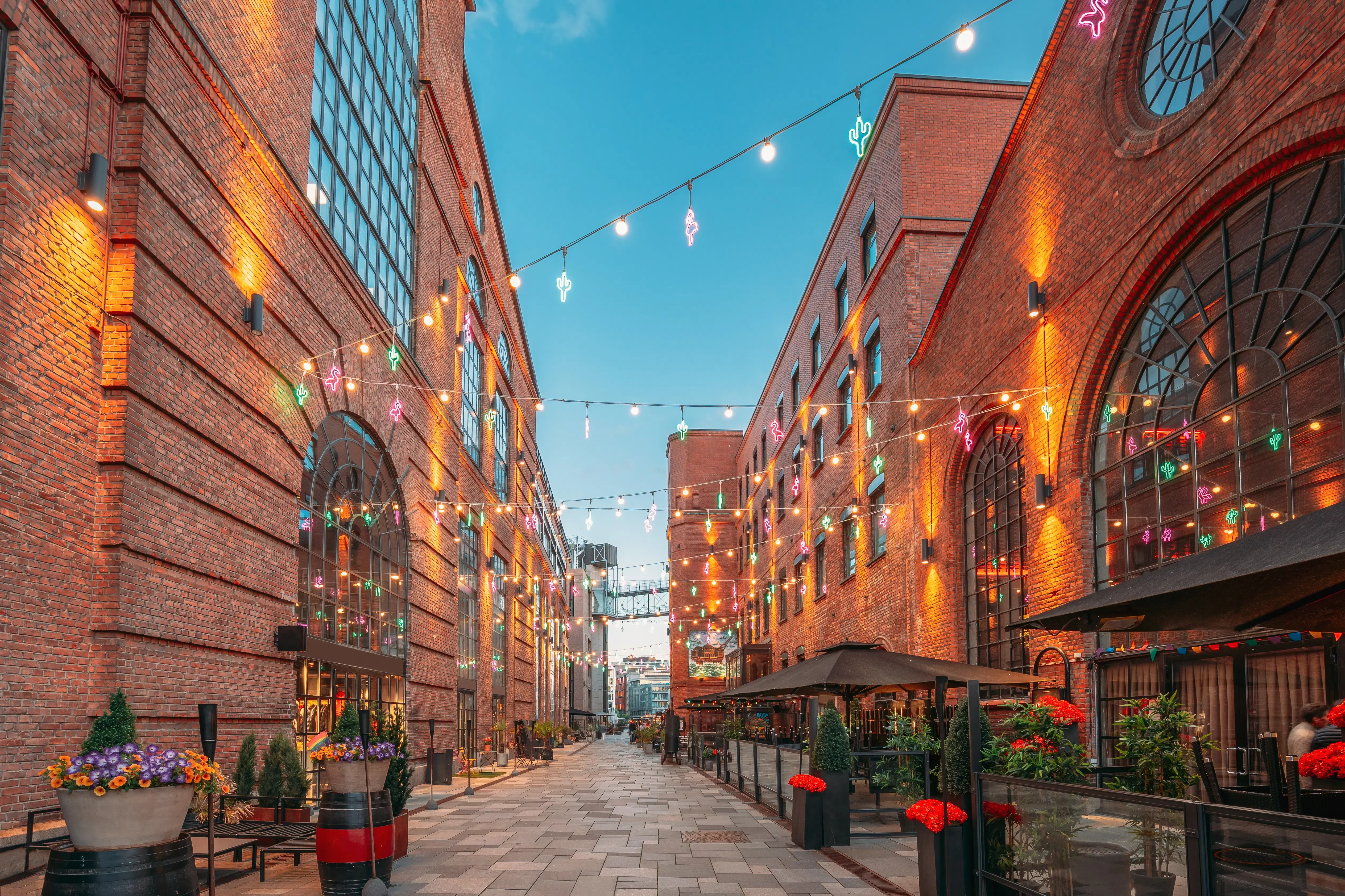 Why Choose Thrillophilia for Your Norway Tour